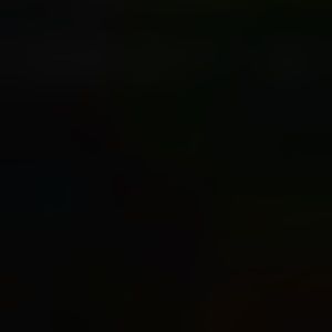 Meet your Posher, Kelsi